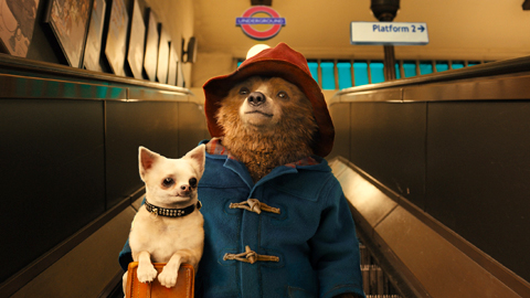 paddington