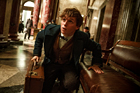 fantasticbeasts