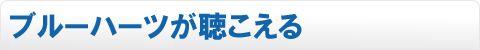 ブルーハーツが聴こえる