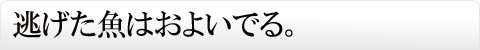 逃げた魚はおよいでる。