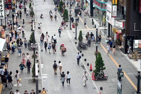 shinjuku-tiger