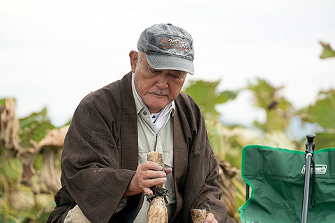 tanemaku-tabibito