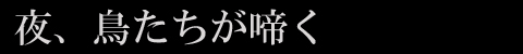 夜、鳥たちが啼く